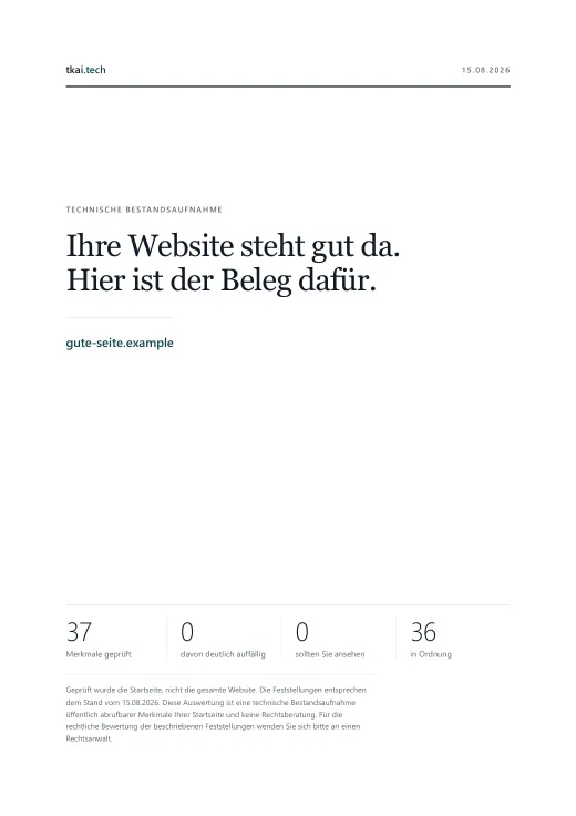 Seite 1 des Musterberichts